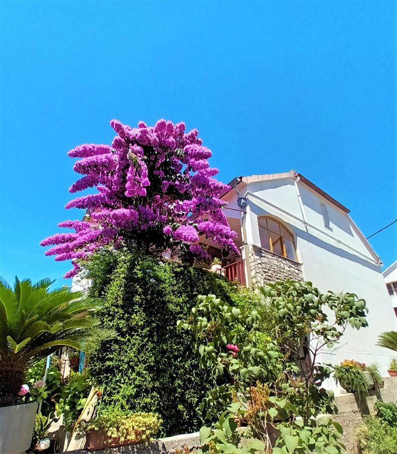Apartman Nada Sali Dış mekan fotoğraf